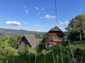 Andi's Berghütte, Weitensfeld im Gurktal